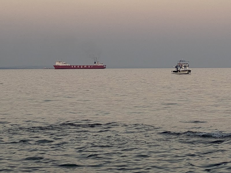 Altınova Sahili Tekirdağ