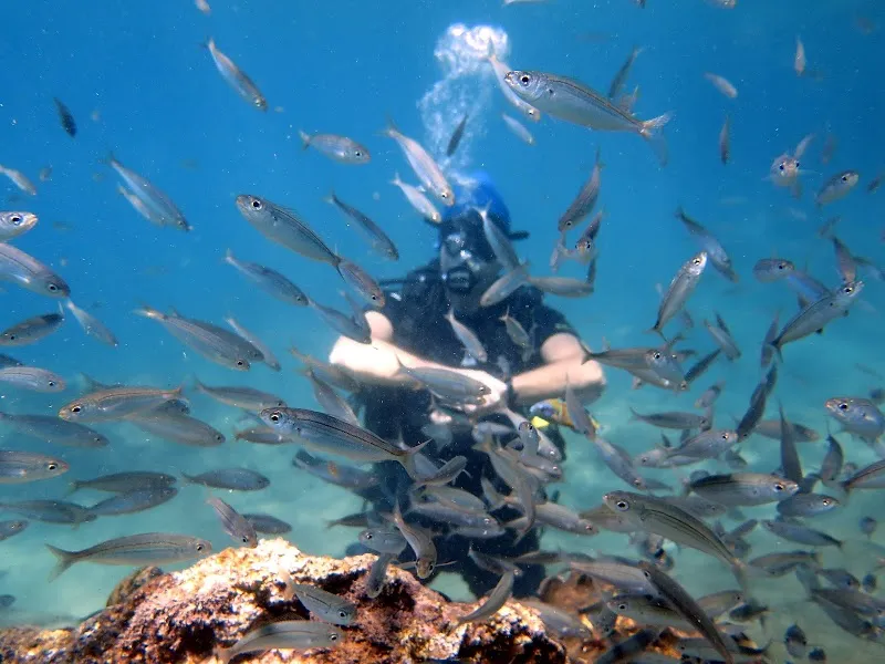 Antalya Dalış Scuba Diving
