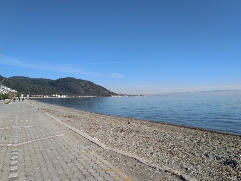 Balıkesir'in Eşsiz Kıyı Cennetleri: June 2026 Kapsamlı Plaj Rehberi