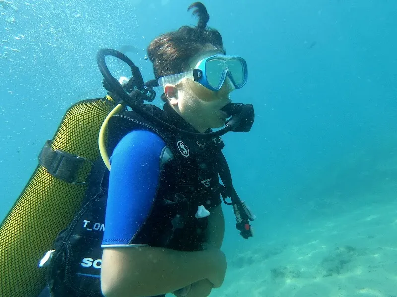 like diving academy