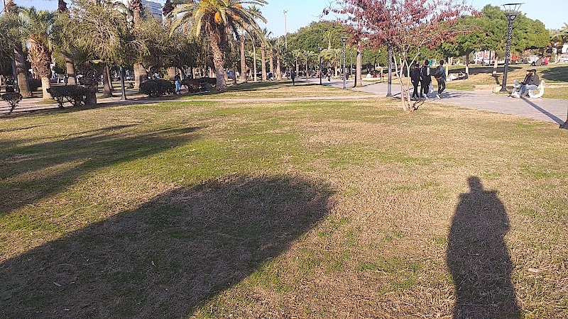 Mersin'in Sakin Köşesi: المنتزه Plajı'na Derinlemesine Bir Gezi Rehberi (Haziran 2026)