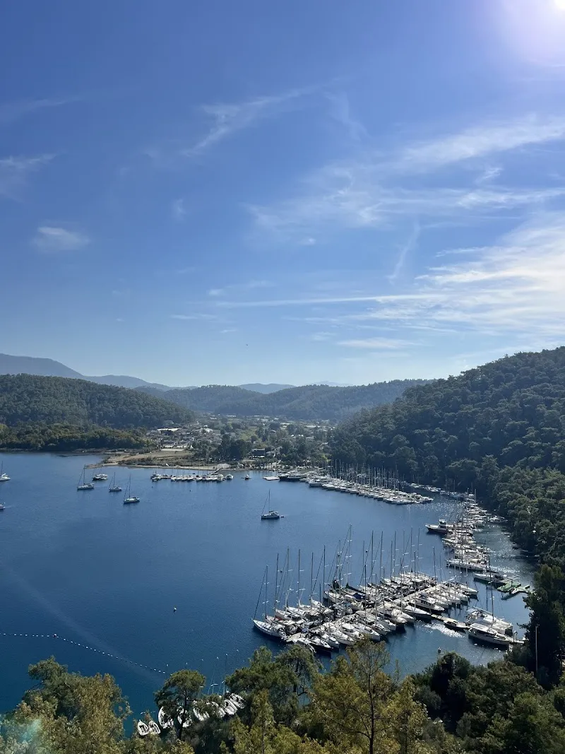 Muçev Marina Karacasöğüt