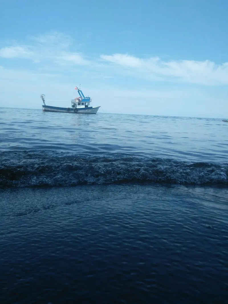 Ordu Kadınlar Plajı