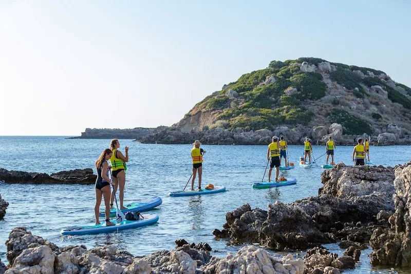 Paddle Paradise