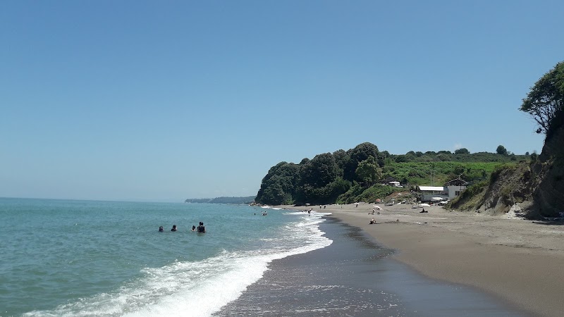 Paşalar plajı, Düzce