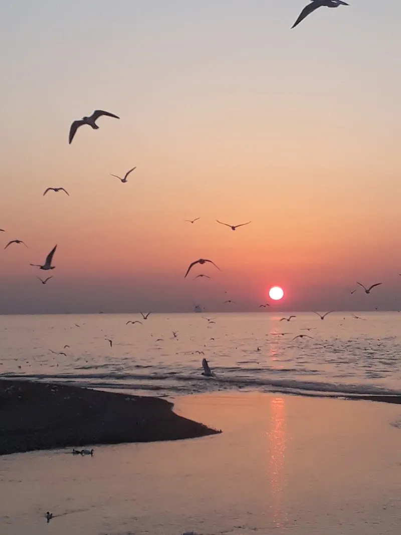 Plaj - Beach - Strand